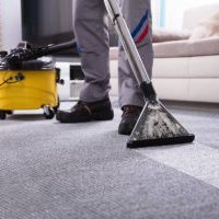 Low Section Of A Person Cleaning The Carpet With Vacuum Cleaner In Living Room